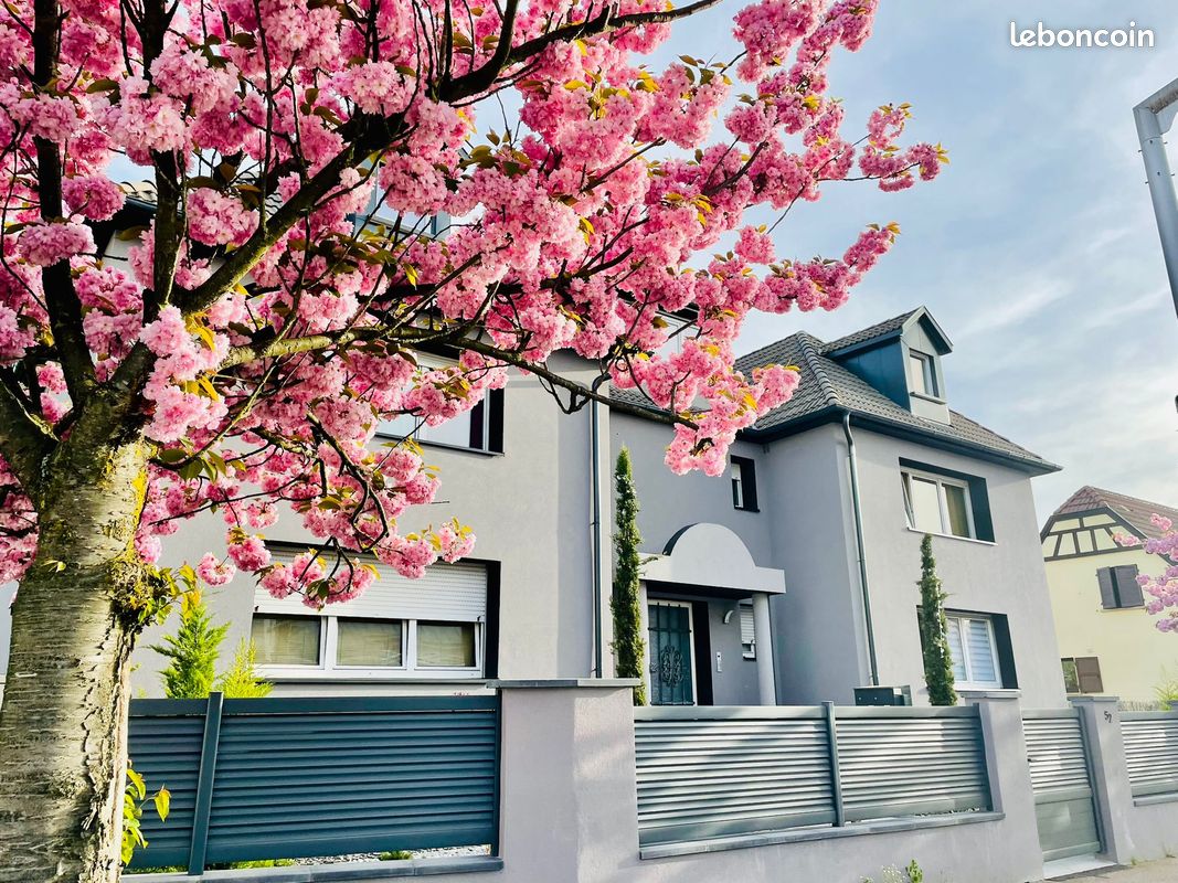 Maison 18 pièces 410 m² · à Strasbourg · 410 m² · 1 390 000 €