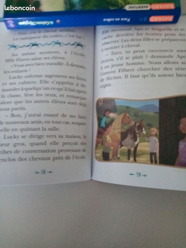 Miraculous et spirit (image 3)