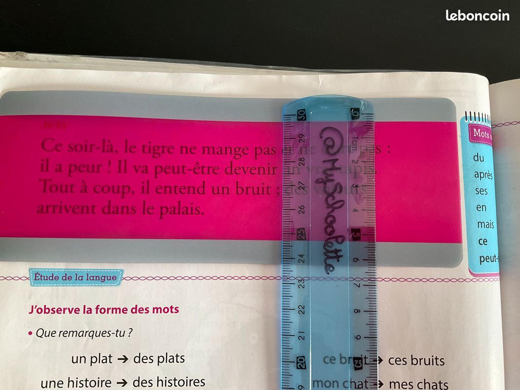 Bandes lecture Larges Colorées pour enfants DYS (image 5)