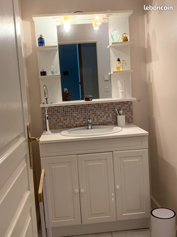 Meuble SDB avec miroir la vasque est félée mais ne fuit pas (image 1)