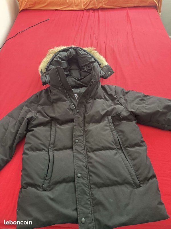 Canada Goose (image 2)