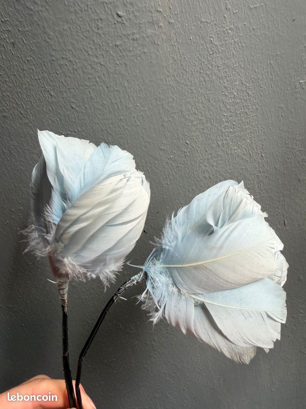 Chapeau de plumes pour homme, femme, unisexe, style western, chapeau de cowboy du Texas. - France