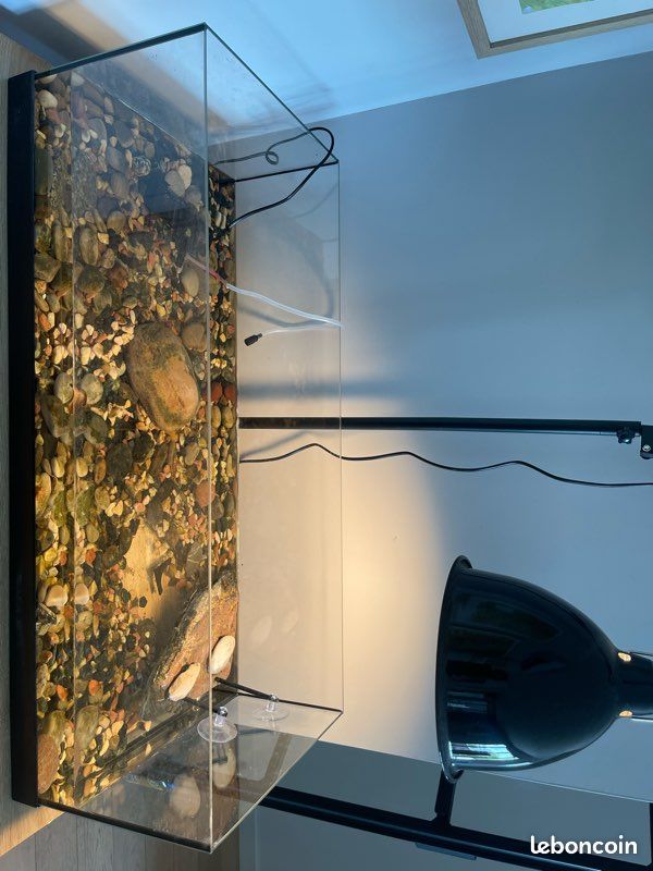 Lampe UV et chaleur animaux (image 3)