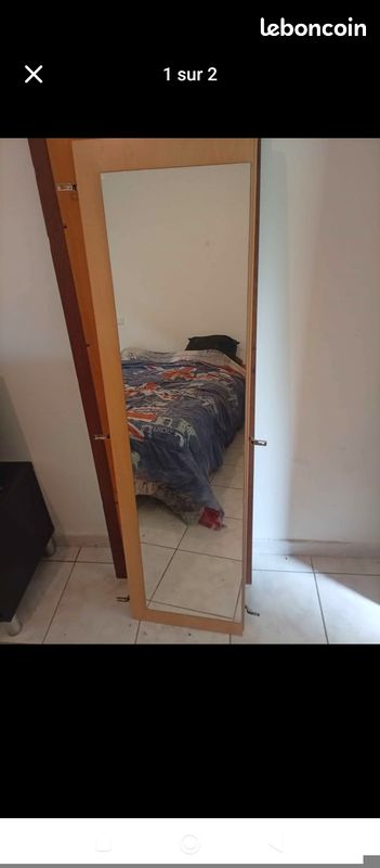 Porte avec miroir (image 1)