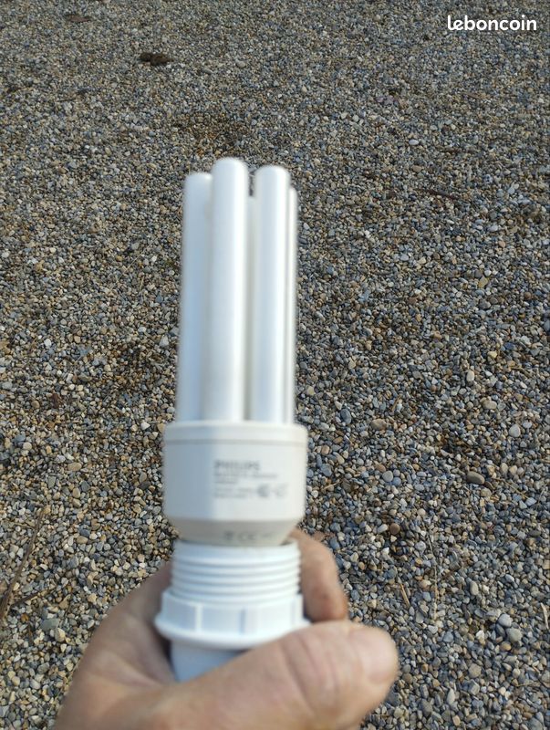 Ampoule (image 1)