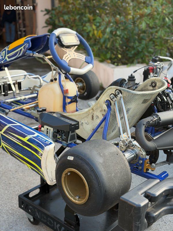 Ln kart rotax max (image 3)