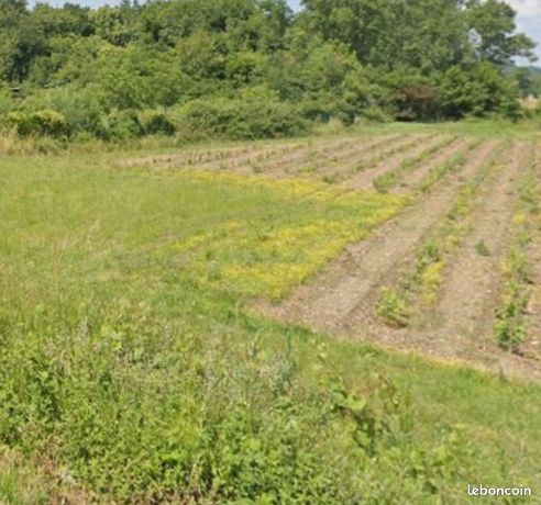 Terrain 800 m² Beautiran