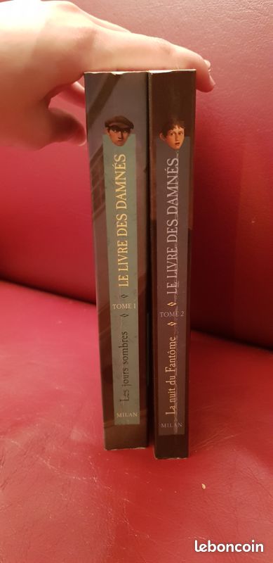 Série jeunesse, livres pour adolescents: le livre des damnés tomes 1 et 2 (image 4)