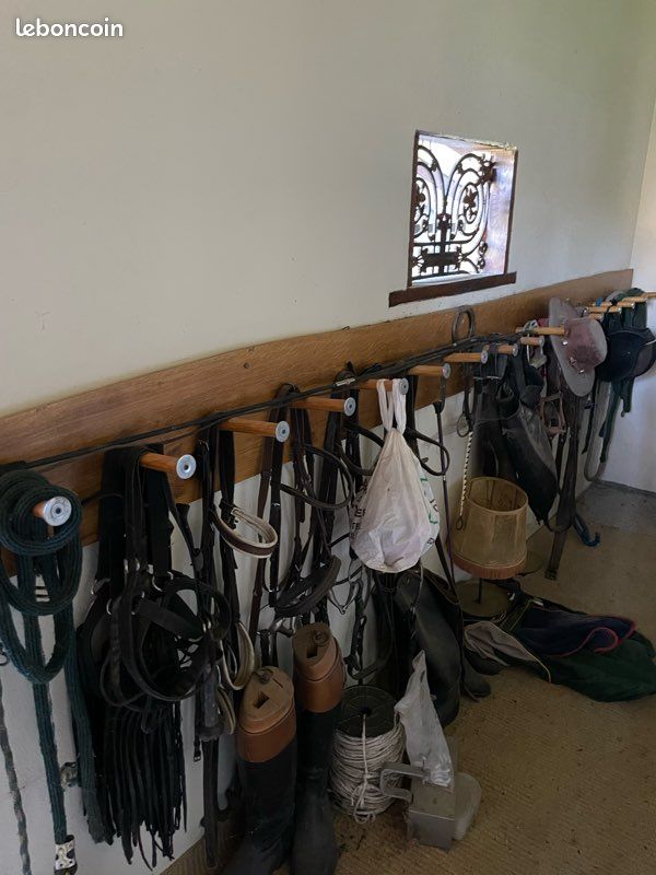 Accessoires chevaux (image 3)