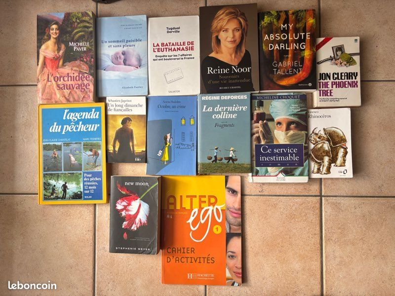 Plusieurs livres, notamment Un long dimanche de fiançailles (image 1)