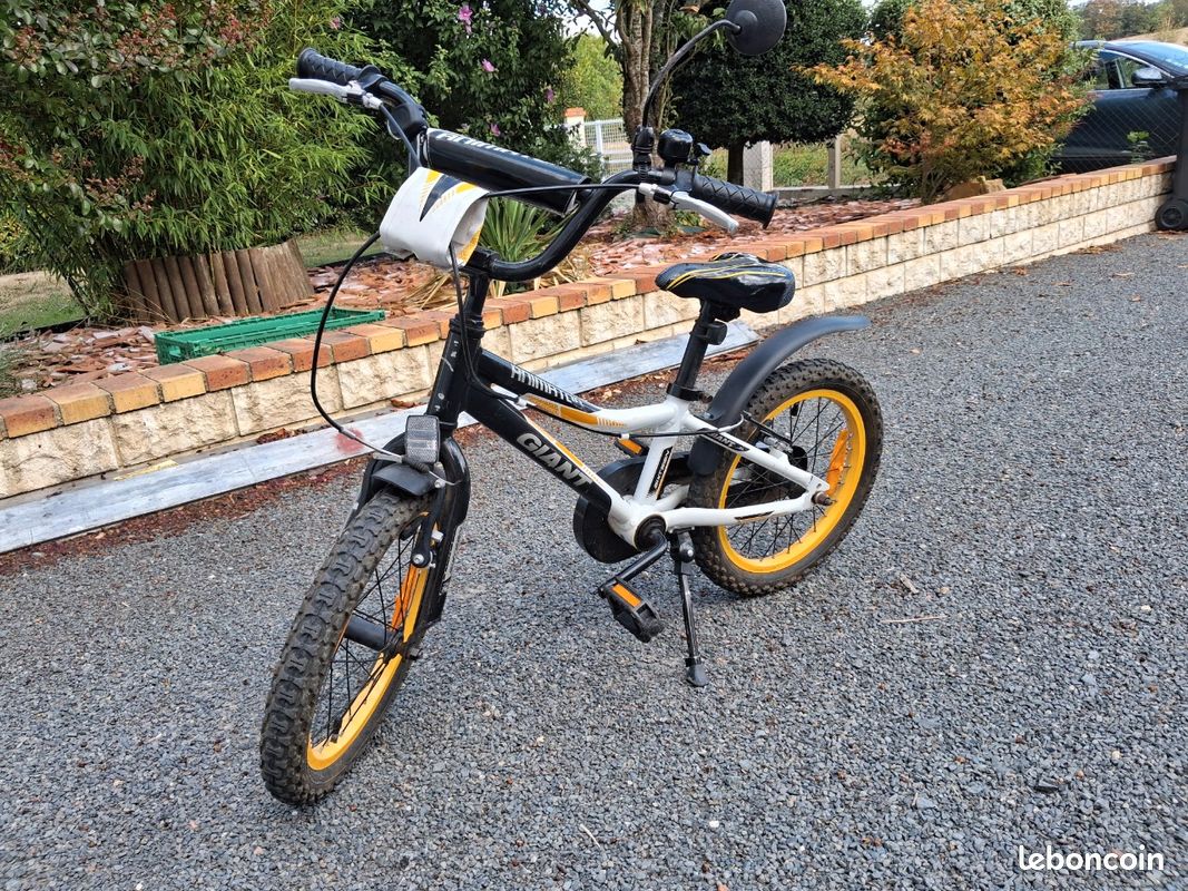 Vélo enfant Giant (image 1)