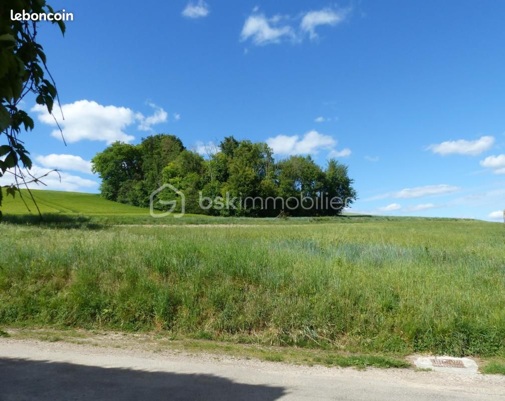 Terrain 5787 m² · à Charbuy · 60 000 €