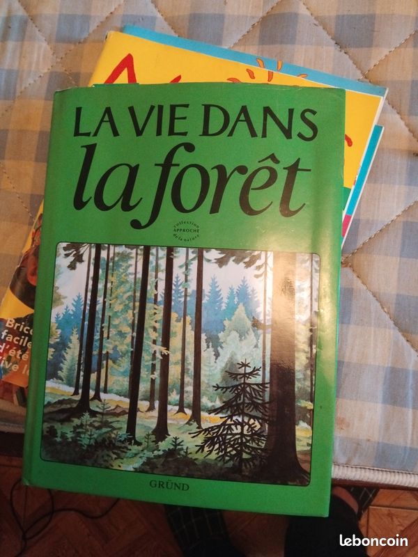 La vie dans la forêt.mains propres ou mondial relay. A2 (image 1)