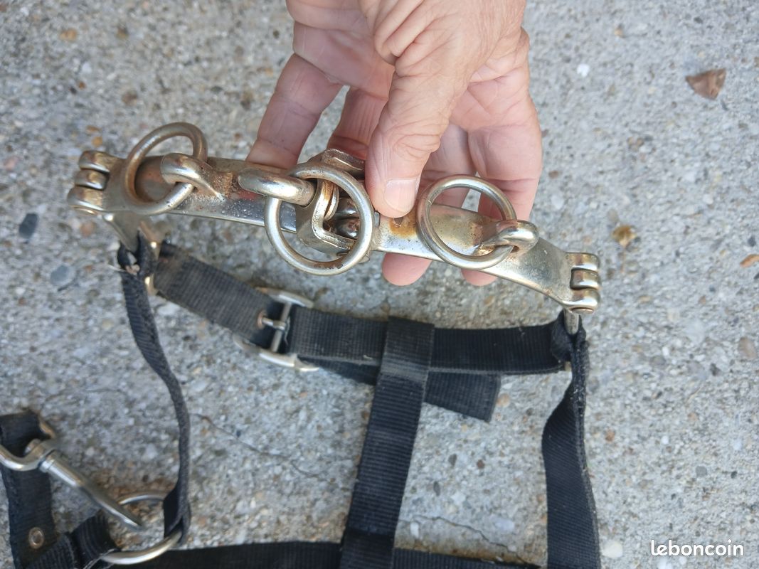 Caveçon pour longer,travail du cheval NYLON noir taille COB avec bouclerie chromé (image 1)