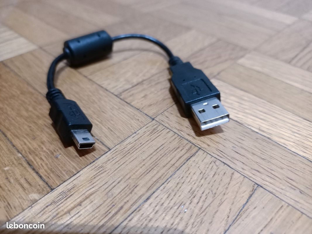 Petit câble mini USB (image 1)
