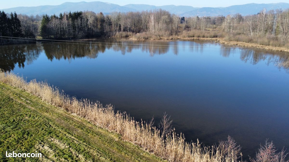 Terrain 39191 m² Sermamagny (image 1)