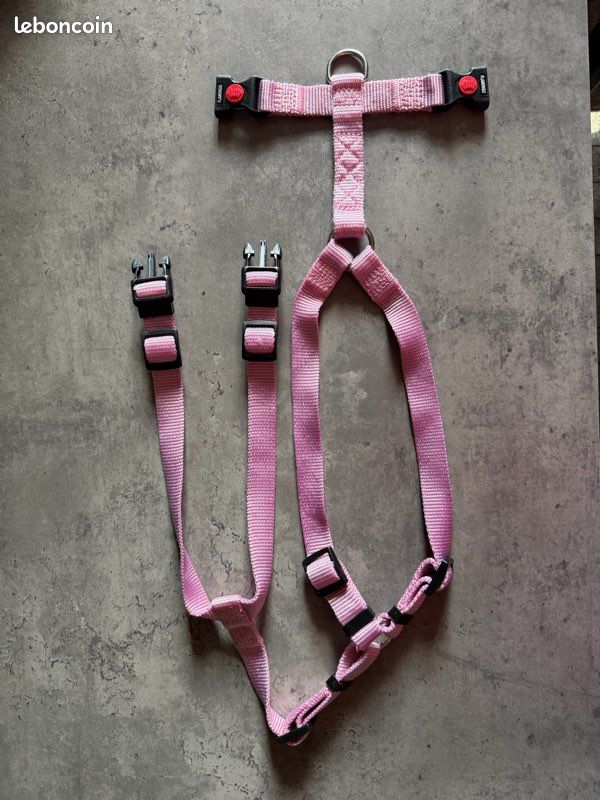 Harnais Chien rose (image 2)