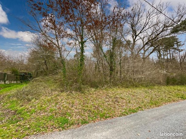 Terrain 2 447 m² Saint Germain Du Salembre