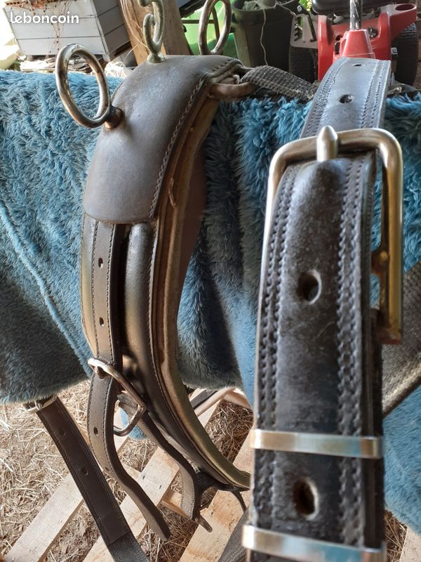 Miroir taillé dans un harnais de cheval en cuir - Cuir