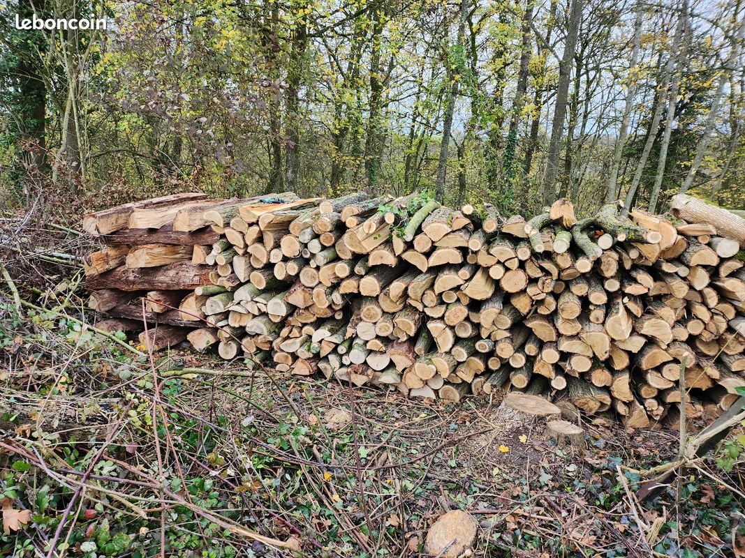 Bois (image 8)