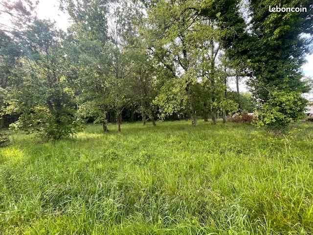 Terrain 460 m² · à Salles · 112 000 €