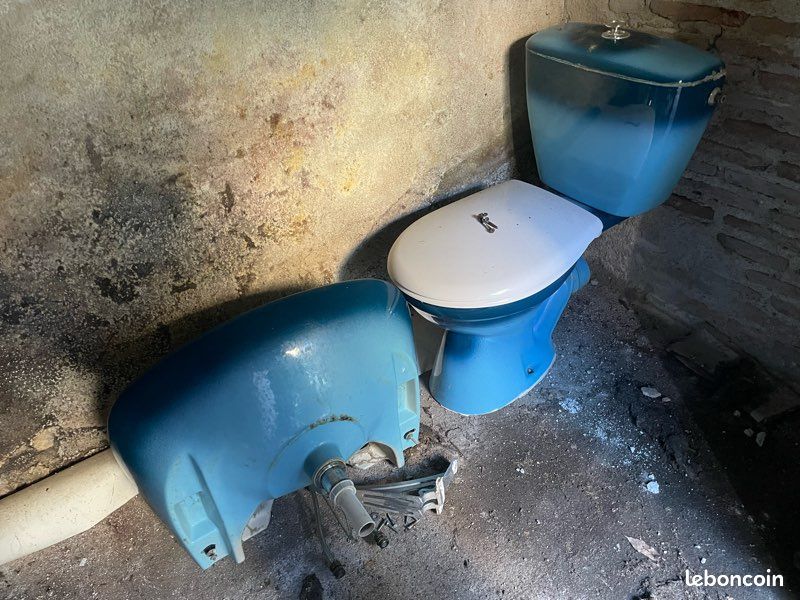 Ensemble lavabo WC bleu (image 1)
