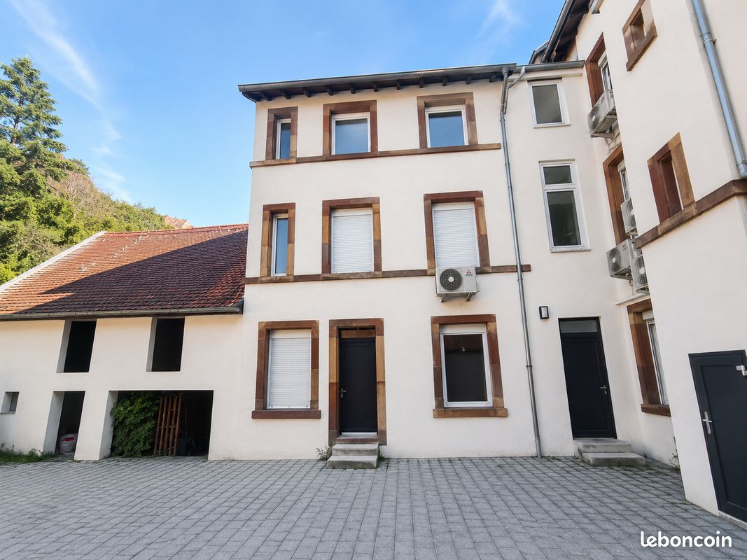 Immeuble 418 m² · à Sarreguemines · 418 m² · 920 000 €