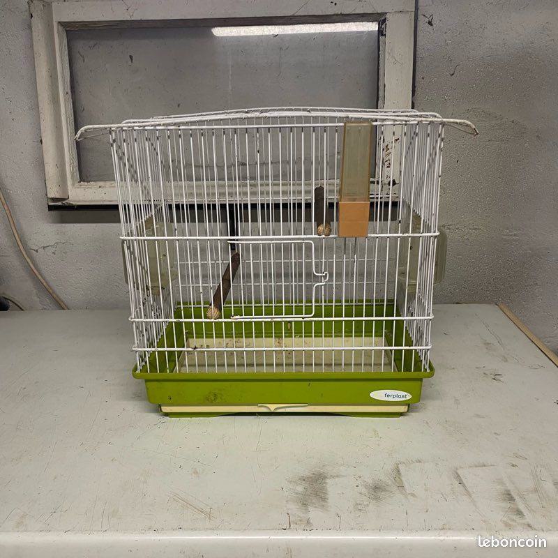 Cage oiseaux (image 1)