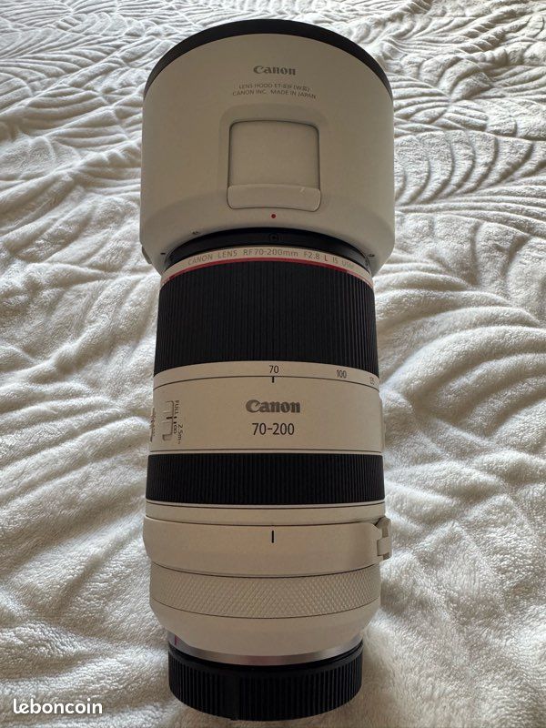 Canon r6 mark II plus objectif et accessoire (image 9)