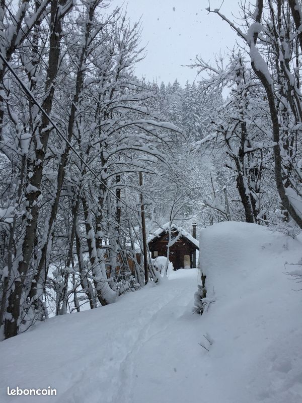 Appt. Au Corbier 6 pers. Aux pieds des pistes (image 20)