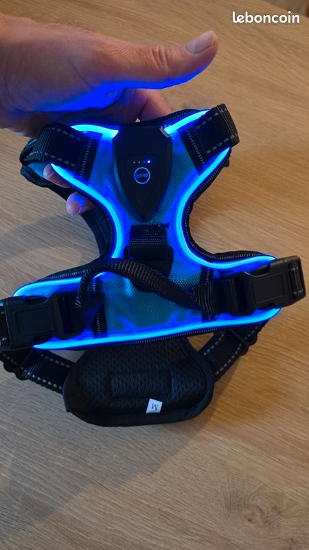 Harnais led lumineux pour chien (image 1)