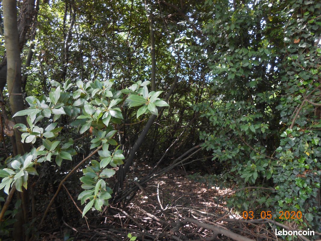 Terrain de loisirs (image 2)