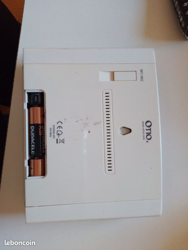 Thermomètre électrique (image 2)