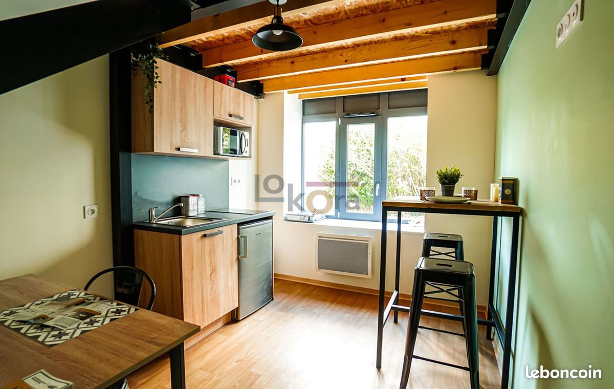 Appartement 1 pièce 25 m² · à Saint-Étienne · 25 m² · 420 €/mois