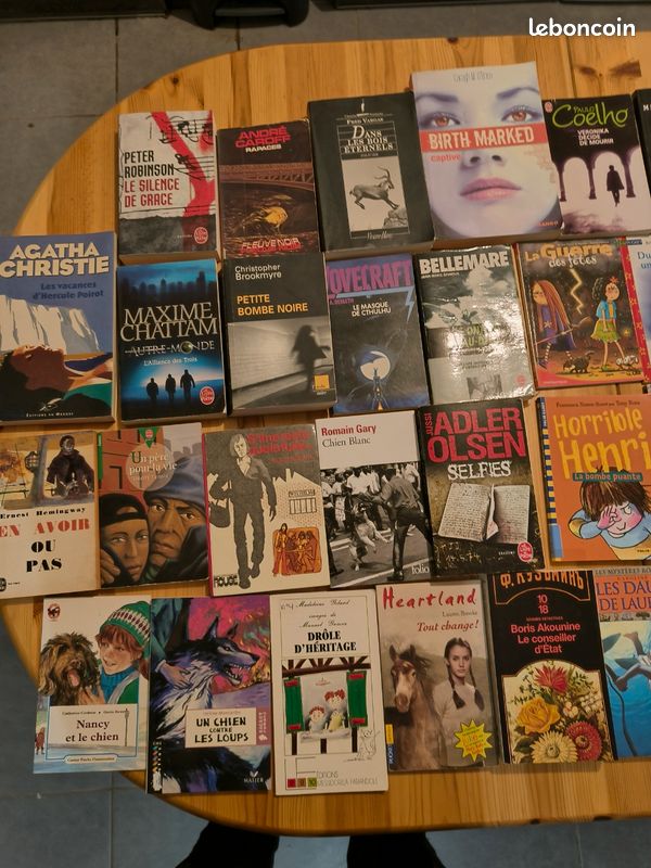 120 livres à choisir dès 5 – Kessel, Romain Gary, Agatha Christie, Fred Vargas… (image 4)