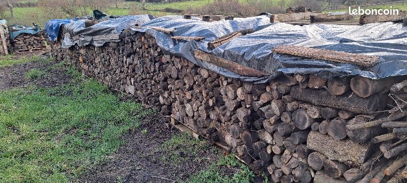 Stères de bois chêne et frêne coupés (image 3)