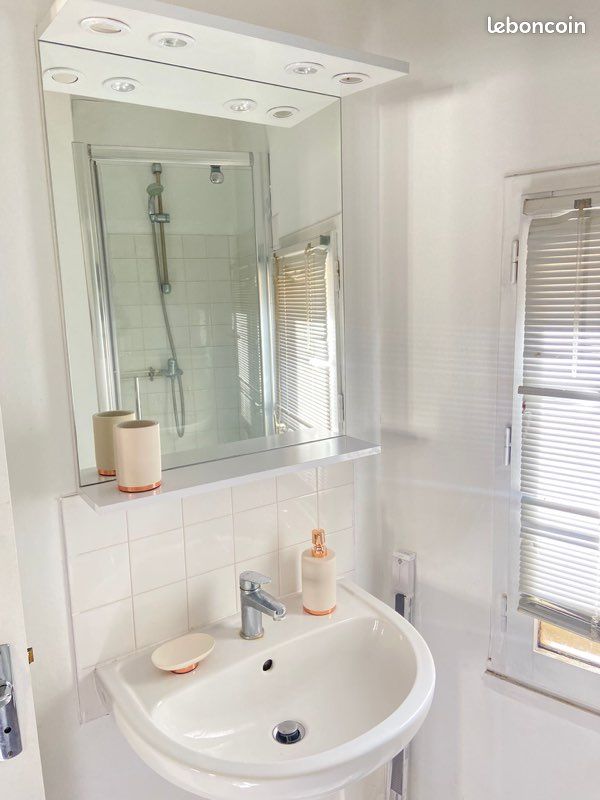 Studio charmant et lumineux - Limoges 87000 (image principale 2)