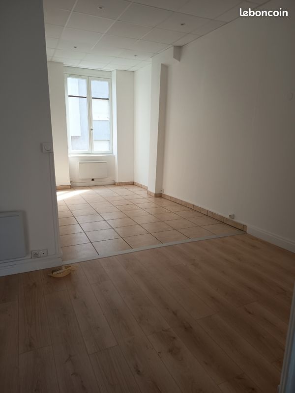Appartement 1 pièce 31 m² · à Lyon · 31 m² · 550 €