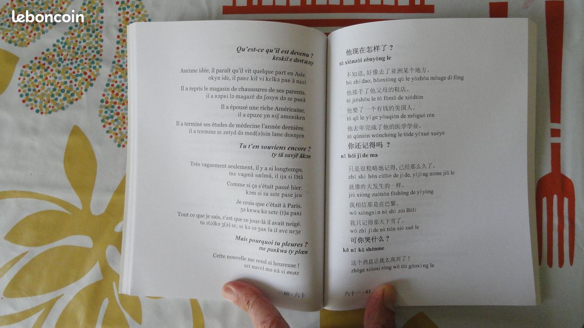 Réponse à tout Chinois ISBN 9782729823856 bon état (image 3)