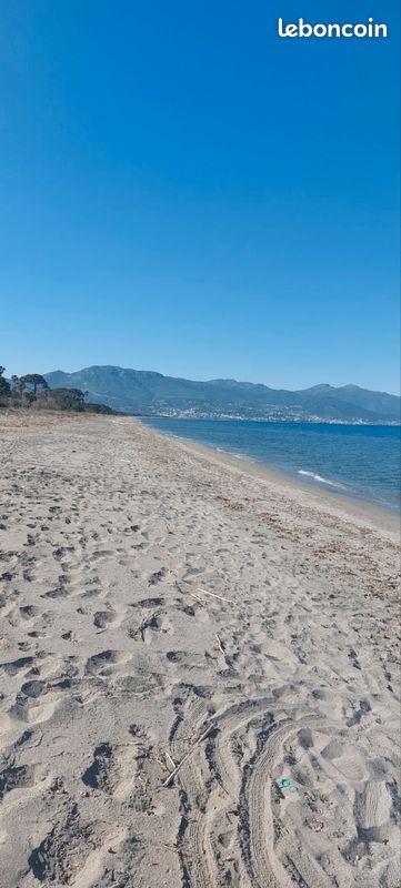 Maison 2 pièces 39 m² · à Borgo · 39 m² · 259 000 €