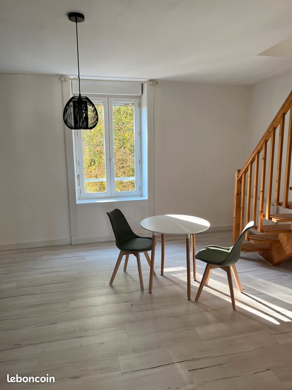 Appartement lumineux vue sur le parc - Limoges 87000 (image principale 1)