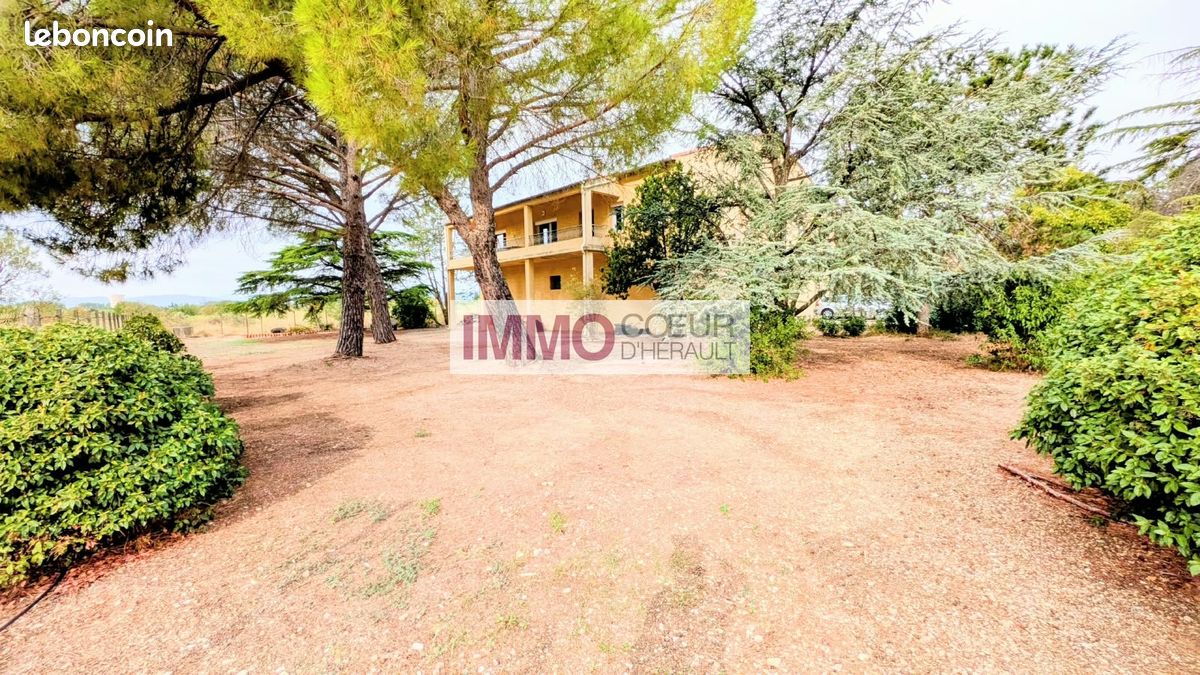 Maison 8 pièces 218 m² · à Saint-André-de-Sangonis · 218 m² · 572 000 €