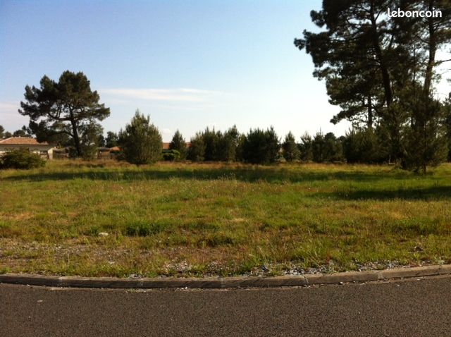 Terrains cazaux a vendre · à La Teste-de-Buch · 300 000 €