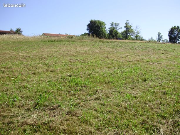 Terrain pouyastruc avec cu de 2400 m2
