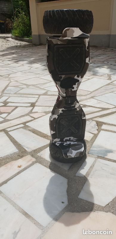 Hoverboard tout terrain (image 1)