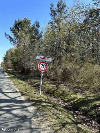 Terrain 31 450 m² Hourtin