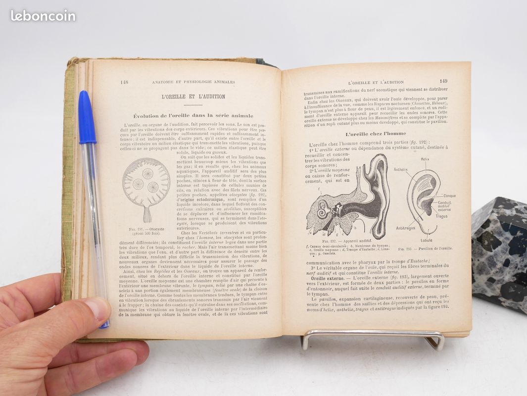 Précis d'Histoire Naturelle (1925) H. COUPIN - G. PERRIN - Anatomie et Physiologie Animales et Végétales / Géologie / Hygiène / Sciences (image 5)