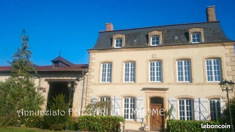Maison 15 pièces 545 m² · à Mouzay · 545 m² · 450 000 €
