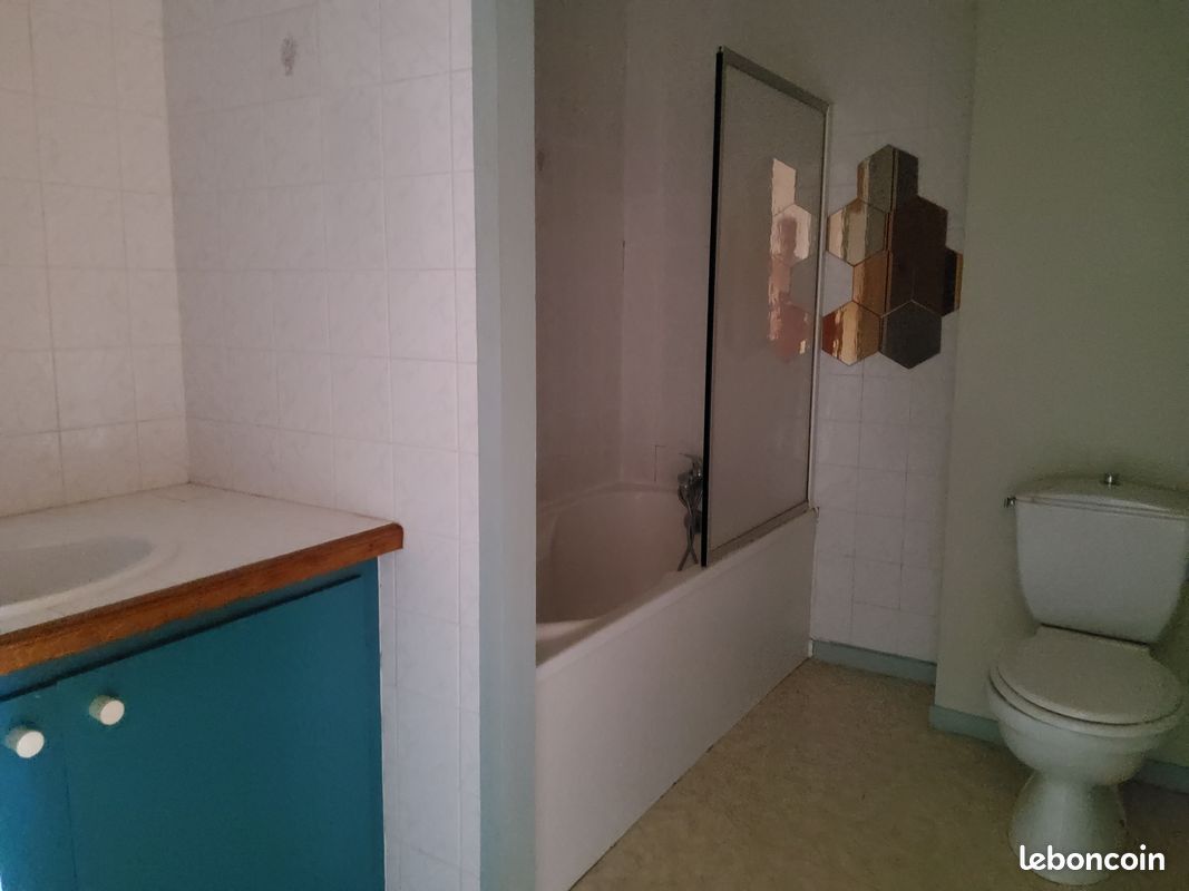 Appartement T2 Bis (image 5)