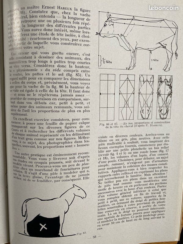 Les animaux cours de dessin et de peinture (image 6)